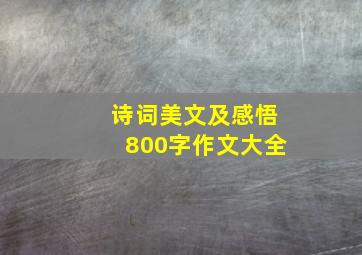 诗词美文及感悟800字作文大全