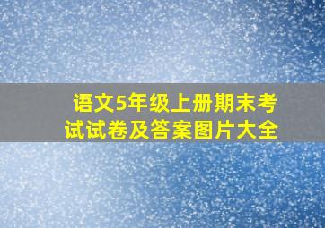 语文5年级上册期末考试试卷及答案图片大全