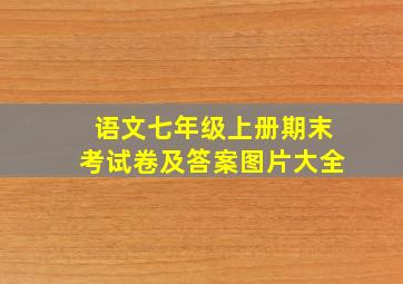 语文七年级上册期末考试卷及答案图片大全