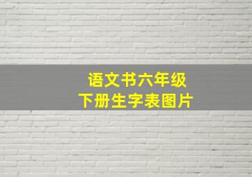 语文书六年级下册生字表图片