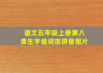 语文五年级上册第八课生字组词加拼音图片