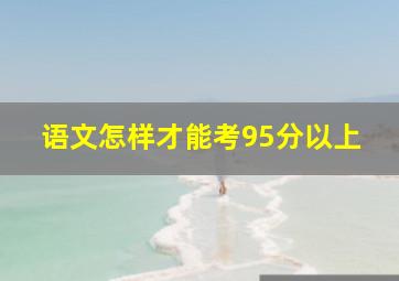 语文怎样才能考95分以上