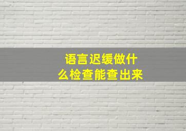 语言迟缓做什么检查能查出来