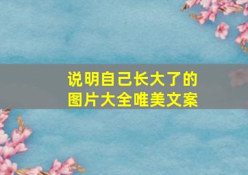 说明自己长大了的图片大全唯美文案