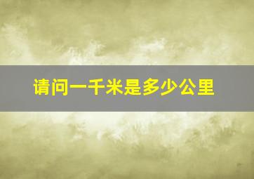 请问一千米是多少公里