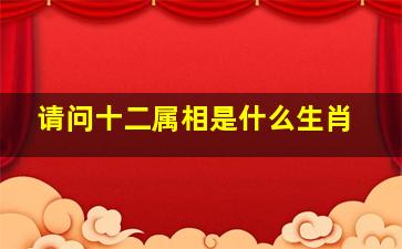 请问十二属相是什么生肖