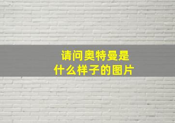 请问奥特曼是什么样子的图片