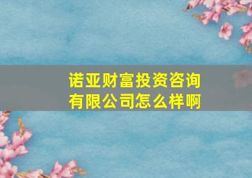 诺亚财富投资咨询有限公司怎么样啊