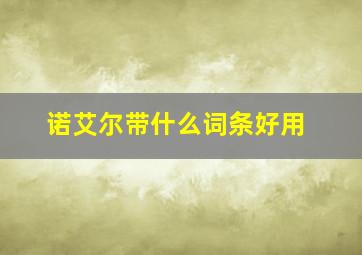 诺艾尔带什么词条好用