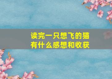 读完一只想飞的猫有什么感想和收获