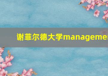 谢菲尔德大学management