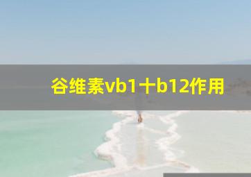 谷维素vb1十b12作用