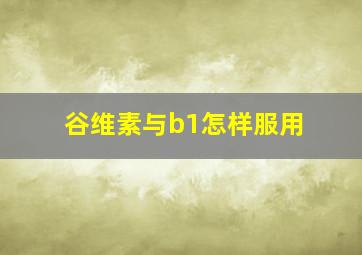 谷维素与b1怎样服用