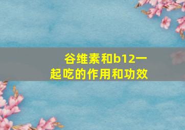 谷维素和b12一起吃的作用和功效