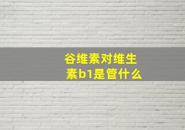 谷维素对维生素b1是管什么