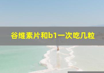 谷维素片和b1一次吃几粒