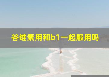 谷维素用和b1一起服用吗