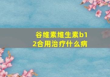 谷维素维生素b12合用治疗什么病