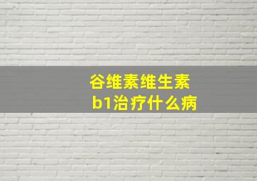 谷维素维生素b1治疗什么病