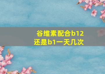 谷维素配合b12还是b1一天几次