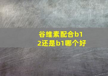 谷维素配合b12还是b1哪个好