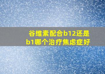 谷维素配合b12还是b1哪个治疗焦虑症好