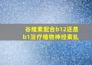 谷维素配合b12还是b1治疗植物神经紊乱