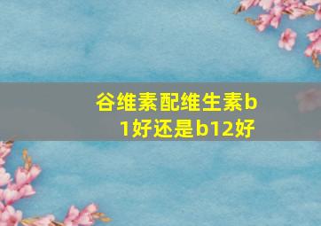 谷维素配维生素b1好还是b12好