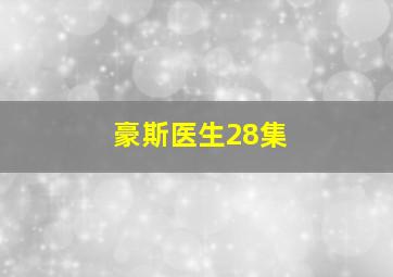 豪斯医生28集