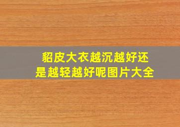 貂皮大衣越沉越好还是越轻越好呢图片大全