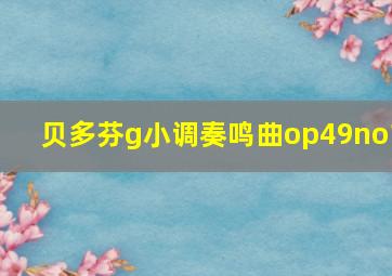 贝多芬g小调奏鸣曲op49no1