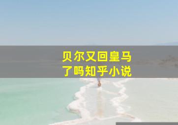 贝尔又回皇马了吗知乎小说