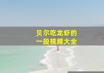 贝尔吃龙虾的一段视频大全