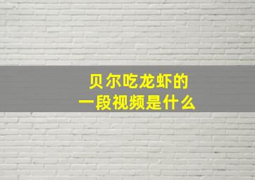 贝尔吃龙虾的一段视频是什么