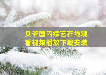 贝爷国内综艺在线观看视频播放下载安装