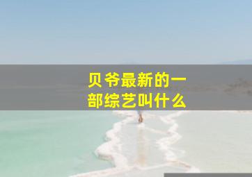 贝爷最新的一部综艺叫什么