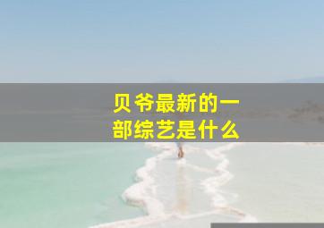 贝爷最新的一部综艺是什么