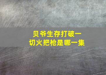 贝爷生存打破一切火把枪是哪一集