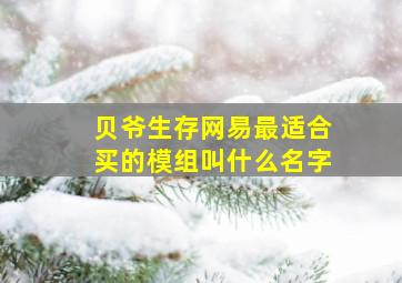 贝爷生存网易最适合买的模组叫什么名字