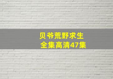 贝爷荒野求生全集高清47集