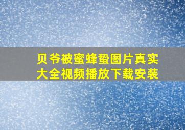 贝爷被蜜蜂蛰图片真实大全视频播放下载安装