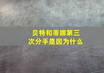 贝特和蒂娜第三次分手是因为什么