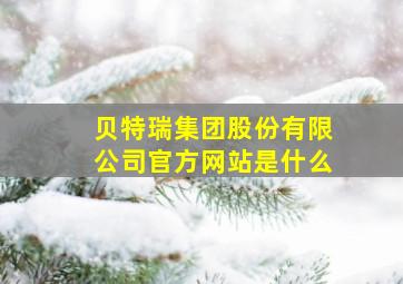 贝特瑞集团股份有限公司官方网站是什么