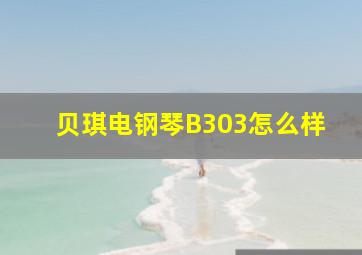 贝琪电钢琴B303怎么样