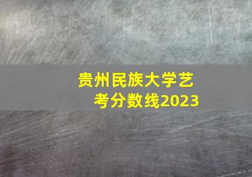 贵州民族大学艺考分数线2023