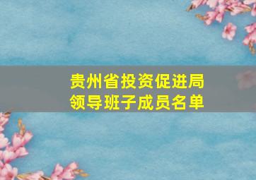 贵州省投资促进局领导班子成员名单