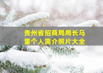 贵州省招商局局长马雷个人简介照片大全