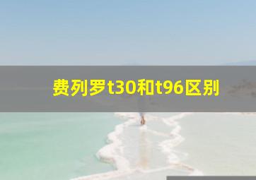 费列罗t30和t96区别