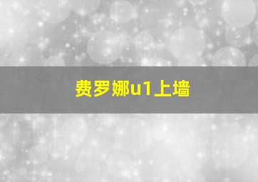 费罗娜u1上墙