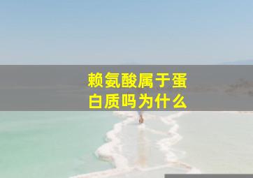 赖氨酸属于蛋白质吗为什么